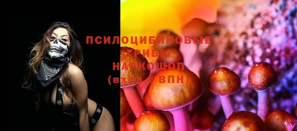 прущие грибы Верхний Тагил