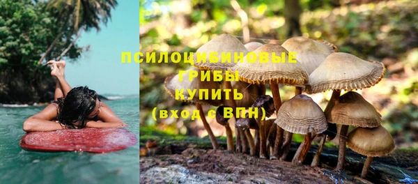 прущие грибы Верхний Тагил