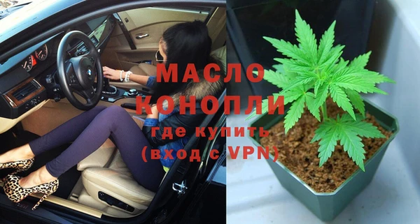 прущие грибы Верхний Тагил