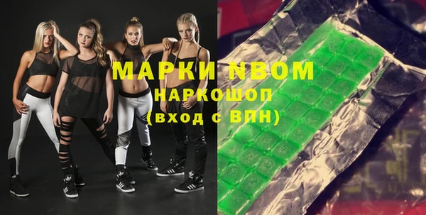 прущие грибы Верхний Тагил
