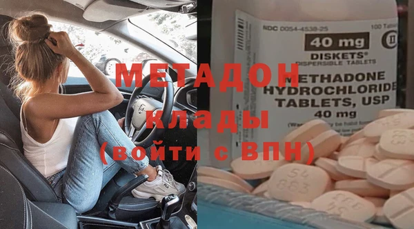 прущие грибы Верхний Тагил
