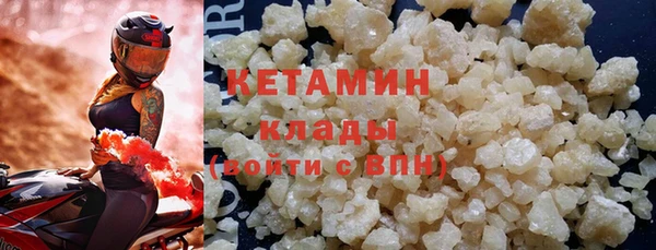 прущие грибы Верхний Тагил