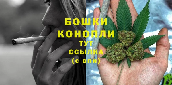 прущие грибы Верхний Тагил