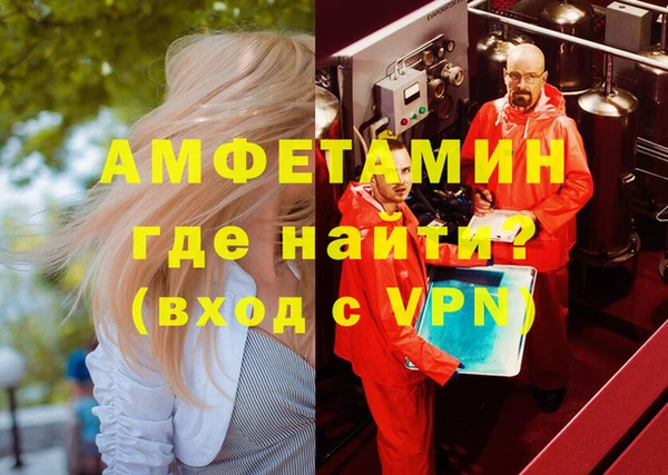 прущие грибы Верхний Тагил