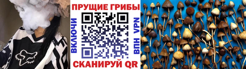 Купить закладки  Зубцов  Галлюциногенные грибы Magic Shrooms 